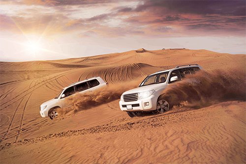 3 Hours Morning Desert Safari With Private Car