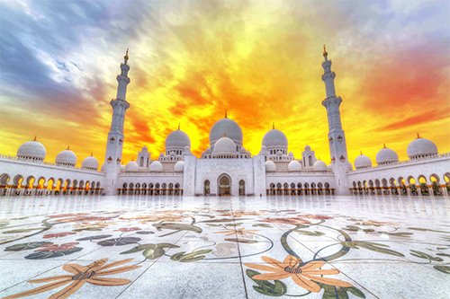 private tour to abu dhabi from dubai