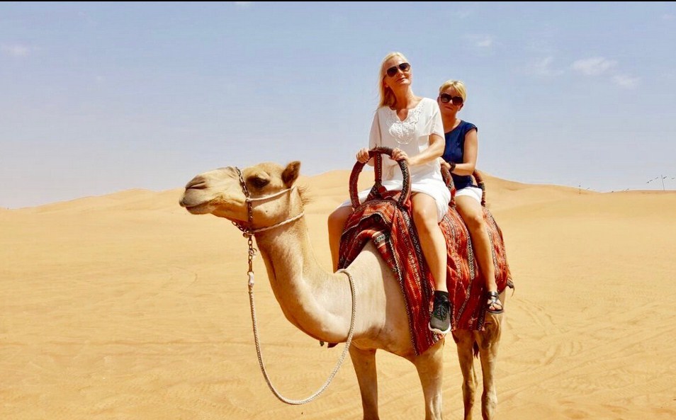 camel riding