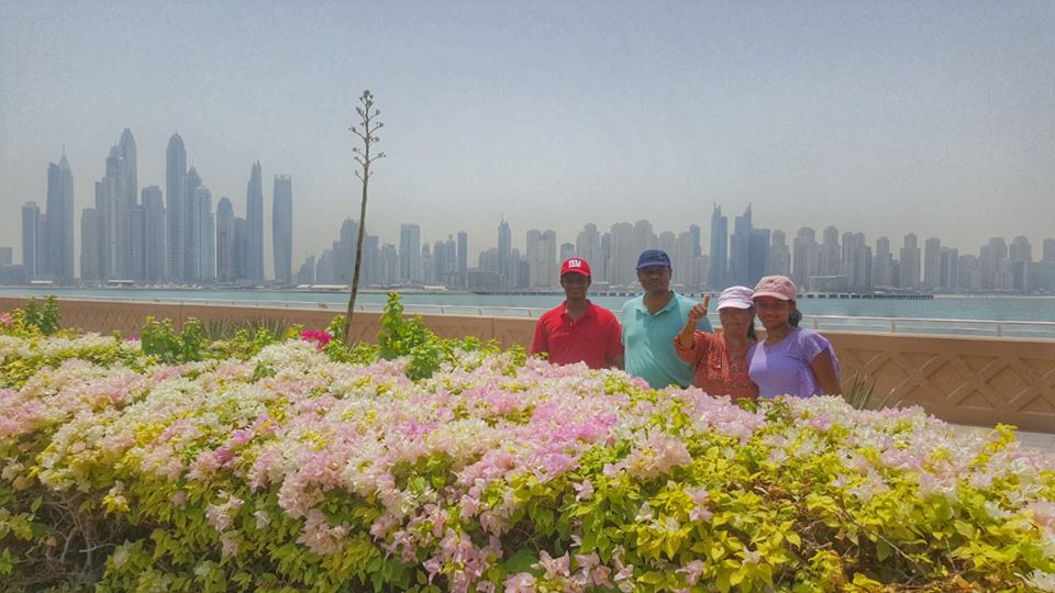 View of Dubai Wonders