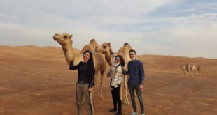desert safaris Dubai