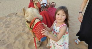 Desert Safari Adventures