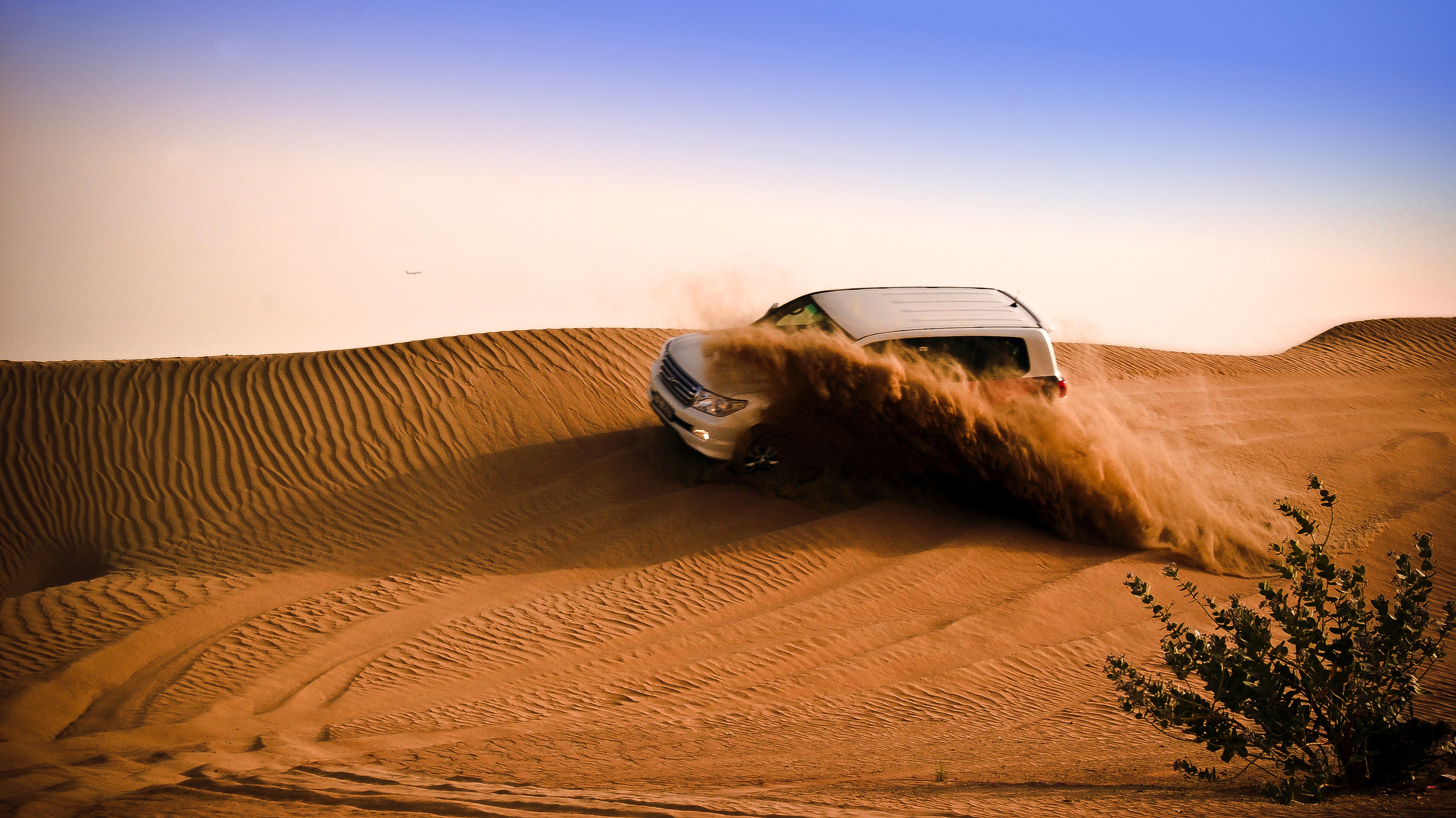 safari in desert of dubai