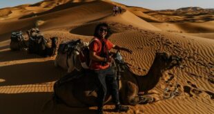 Private desert safari in Dubai with luxury, sunset views, and premium dining experience