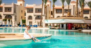 Travelers enjoying a luxury tour Dubai experience with private sightseeing and premium transportation