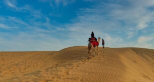 Luxury travelers enjoying Dubai skyline views and premium desert adventure during a Dubai luxury tour