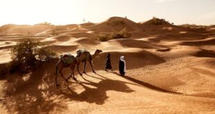 4x4 vehicle driving across golden sand dunes during an evening Dubai desert safari with travelers enjoying the adventure.