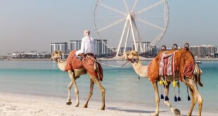Professional tourism company in Dubai assisting travelers with luxury city tours and airport transfer services.